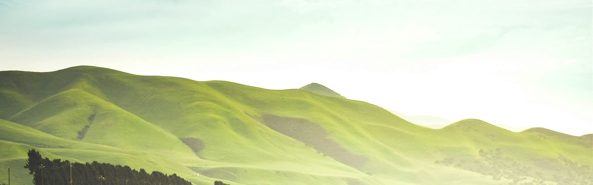 Agricultural fields