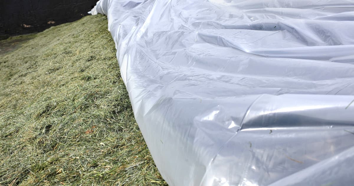 Silage Film